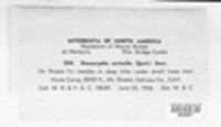 Image Associated With the Occurence